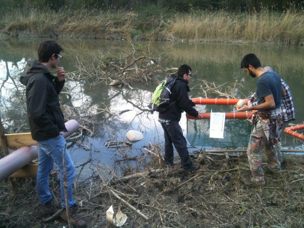 VOLONTANFIBI 2014: Parco Regionale MSRM